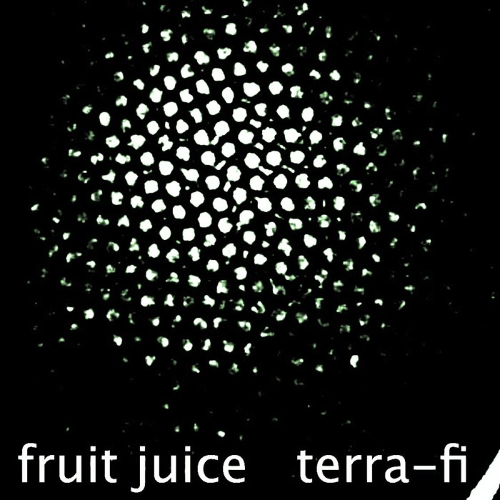 FRUIT JUICE